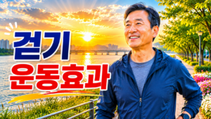 걷기운동효과