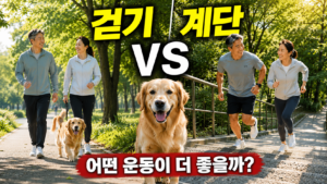 계단오르기 평지걷기