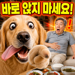 식사 후 바로 앉으면 생기는 몸의 변화 7가지