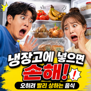 식품별 보관법,