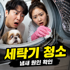 세탁조청소